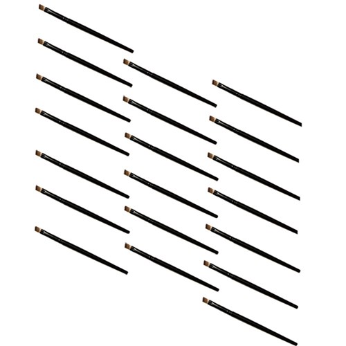 Angled Brushes 20pk